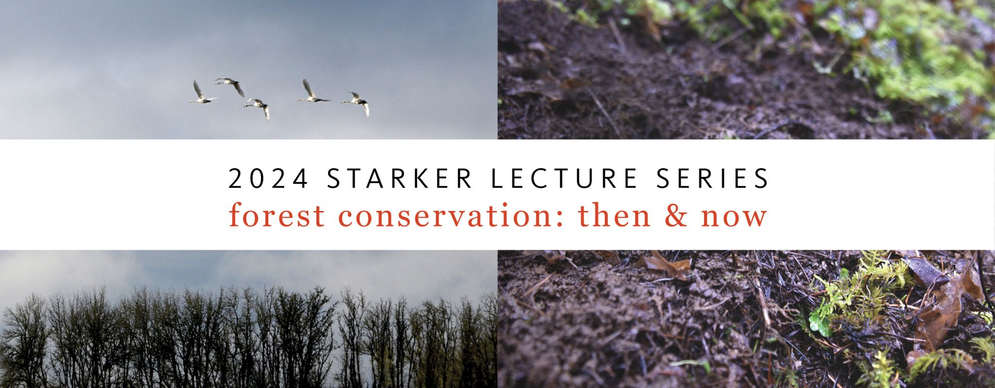 Starker Lectures | College of Forestry